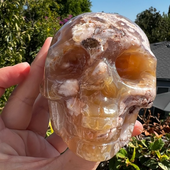 Flower Agate Skull - Sakura Agate - Picture 11 of 11